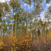 Review photo of Difficult Campground by Rachel T., October 9, 2020