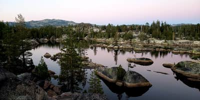 Nature