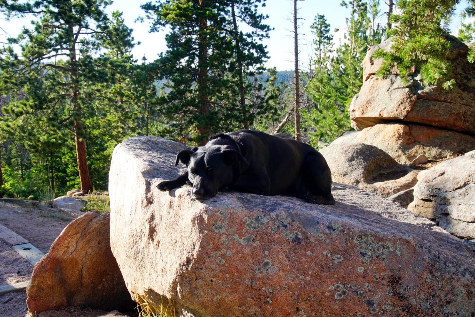 Josie's photo of camping with pets at Bellaire Lake Campground near Arapaho & Roosevelt National Forests Pawnee NG