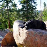 Review photo of Bellaire Lake Campground by Josie , October 9, 2020