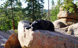 Josie's photo of camping with pets at Bellaire Lake Campground near Arapaho & Roosevelt National Forests Pawnee NG