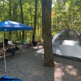 Review photo of Fort Mountain State Park Campground by Phil K., October 9, 2020