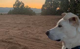 Alison D.'s photo of camping with pets at Hole in the Rock Road at Grand Staircase-Escalante near Glen Canyon National Recreation Area