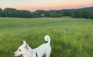 Alison D.'s photo of camping with pets at Preparation Canyon State Park Campground near Blair, NE