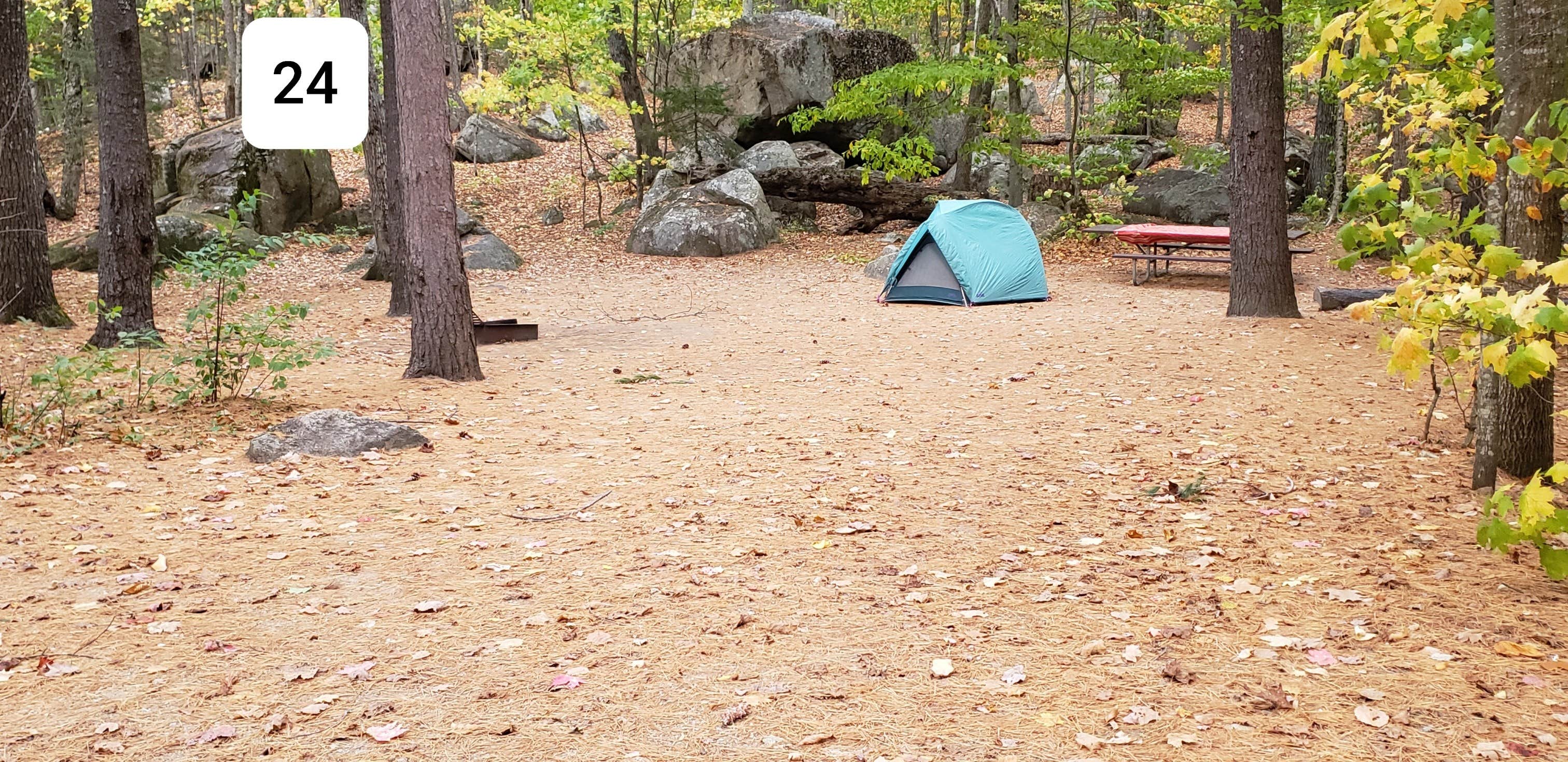 Jean C.'s photo at Covered Bridge near Silver Lake, NH