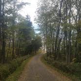 Review photo of Thomas Woods Campground by Marisa A., October 9, 2020