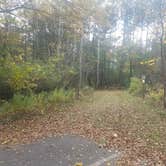 Review photo of Thomas Woods Campground by Marisa A., October 9, 2020