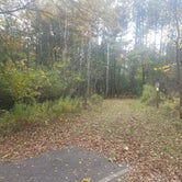 Review photo of Thomas Woods Campground by Marisa A., October 9, 2020