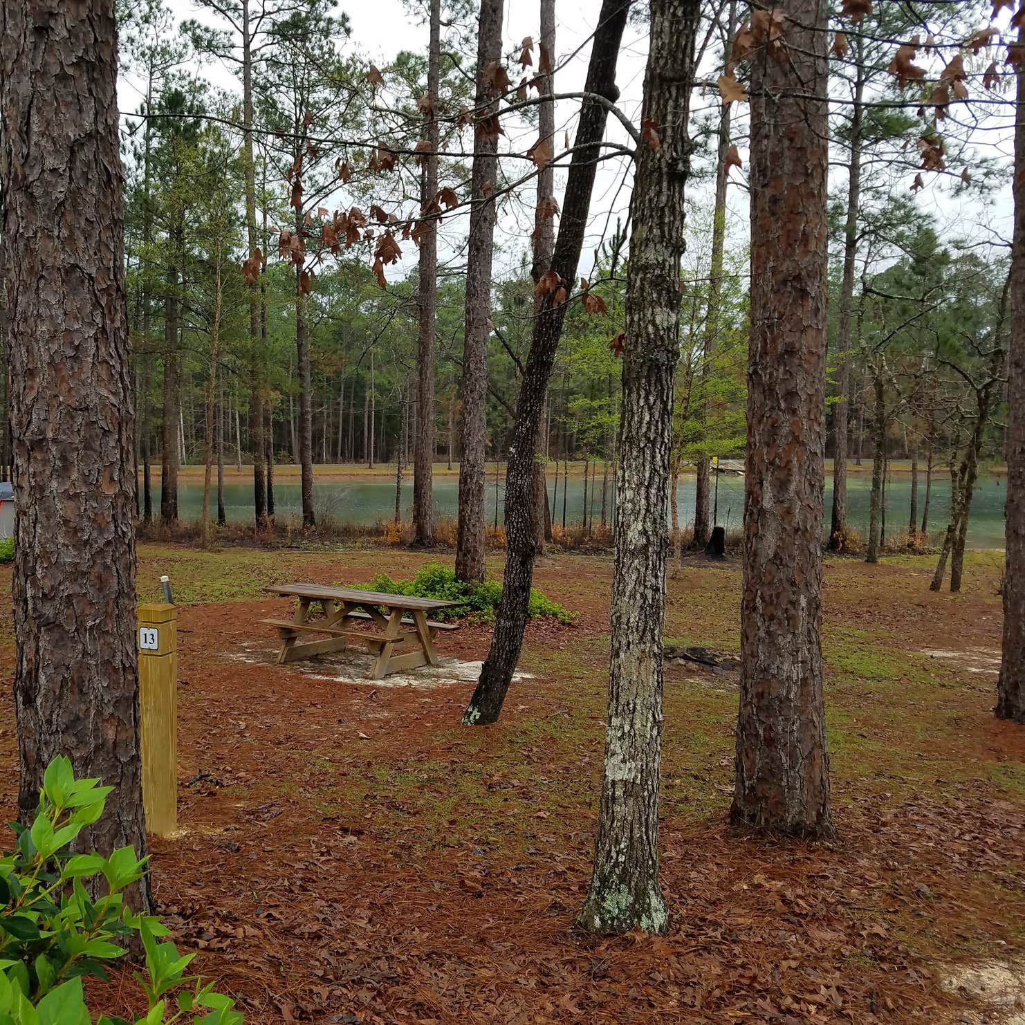 Krul Lake Camping The Dyrt