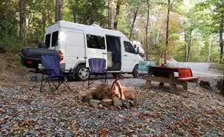 Glass R.'s photo at Spacious Skies Bear Den near Linville Falls, NC