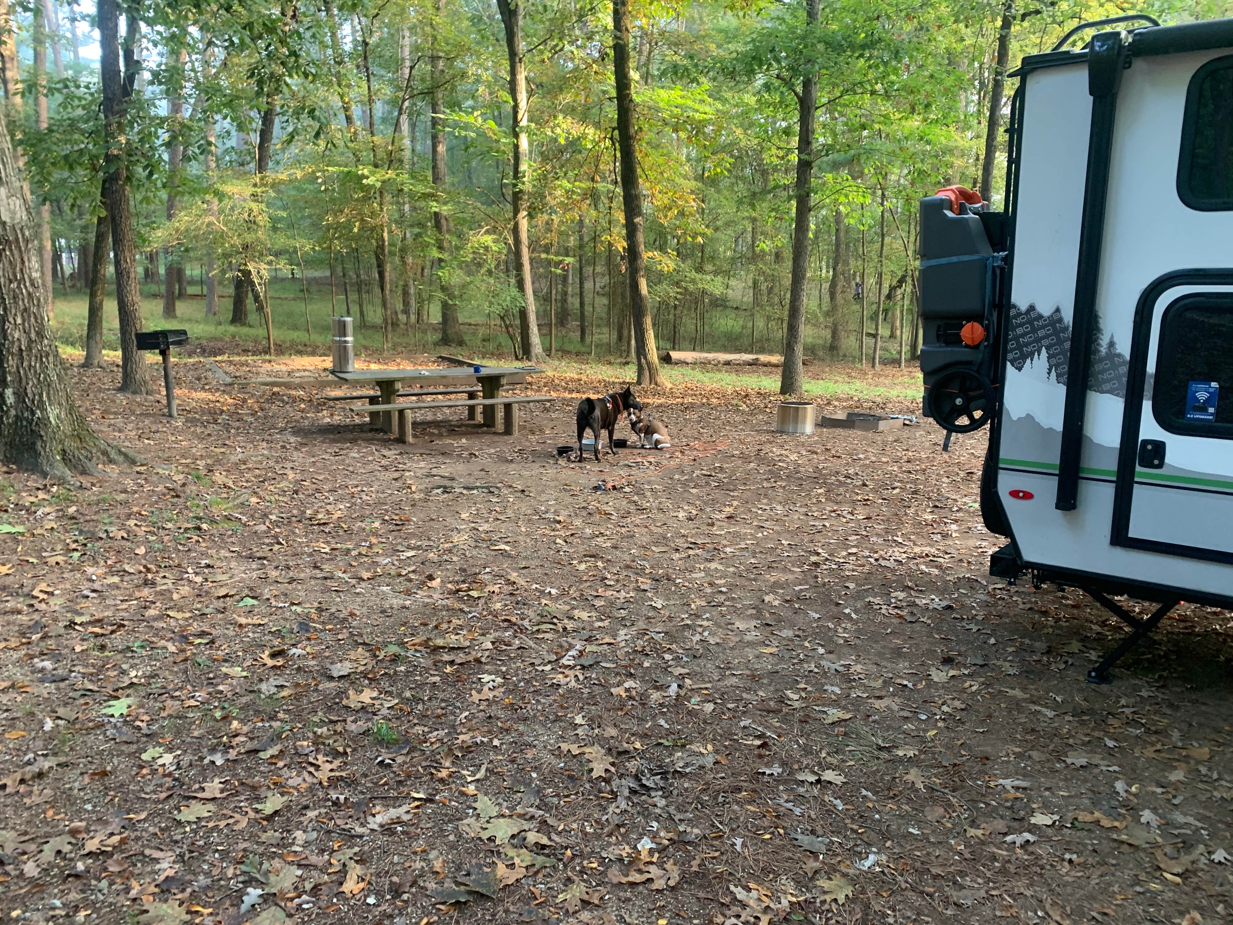 Chris H.'s photo of camping with pets at Lake Catherine State Park Campground near Sweet Home, AR