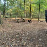 Review photo of Lake Catherine State Park Campground by Chris H., October 9, 2020