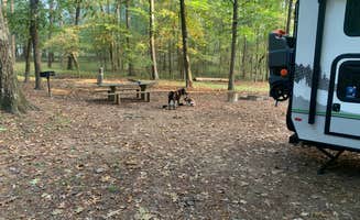 Chris H.'s photo of camping with pets at Lake Catherine State Park Campground near Hot Springs National Park, AR
