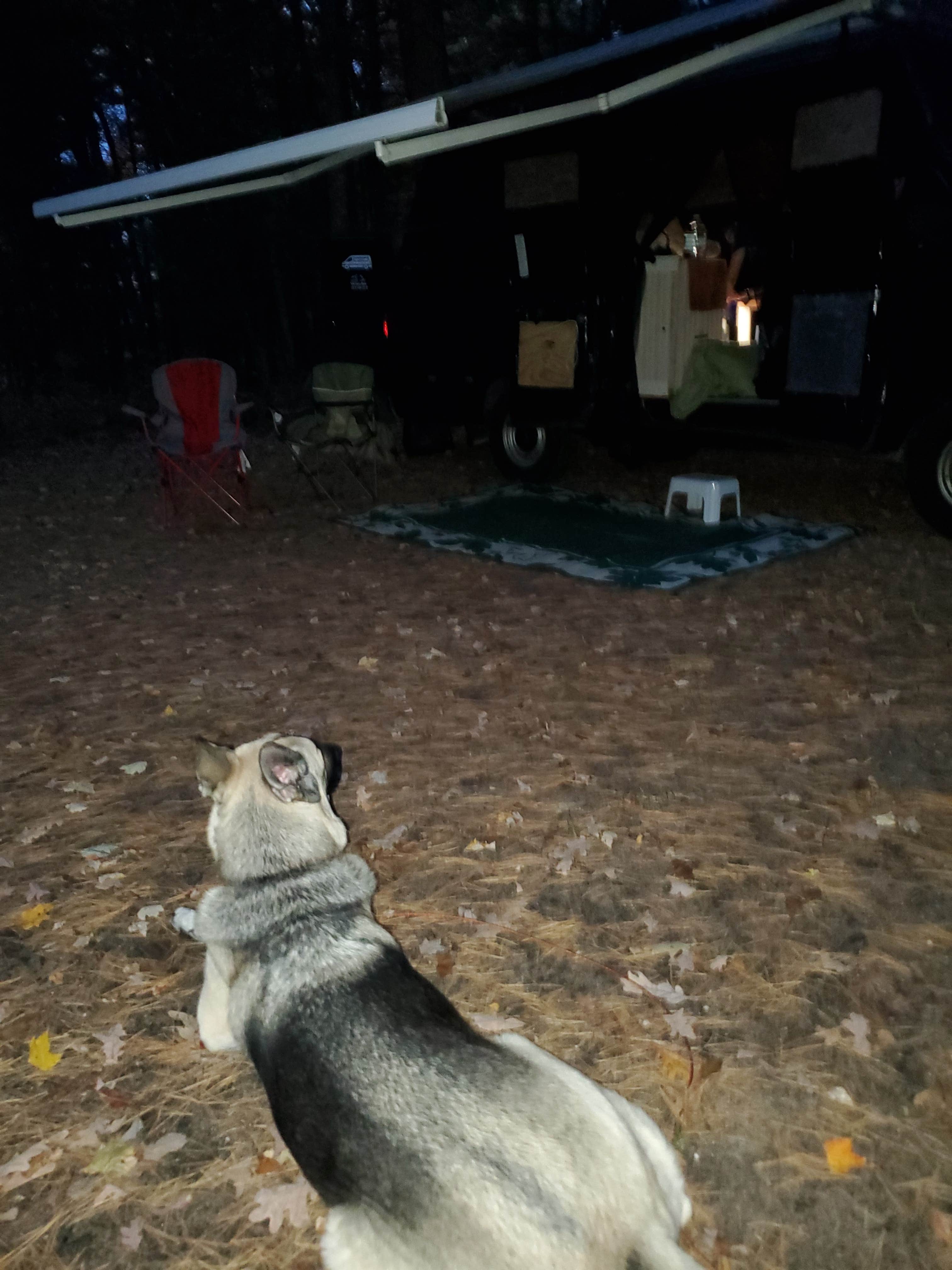 Camper-submitted photo at Leverentz Lake State Forest Campground near Cadillac, MI