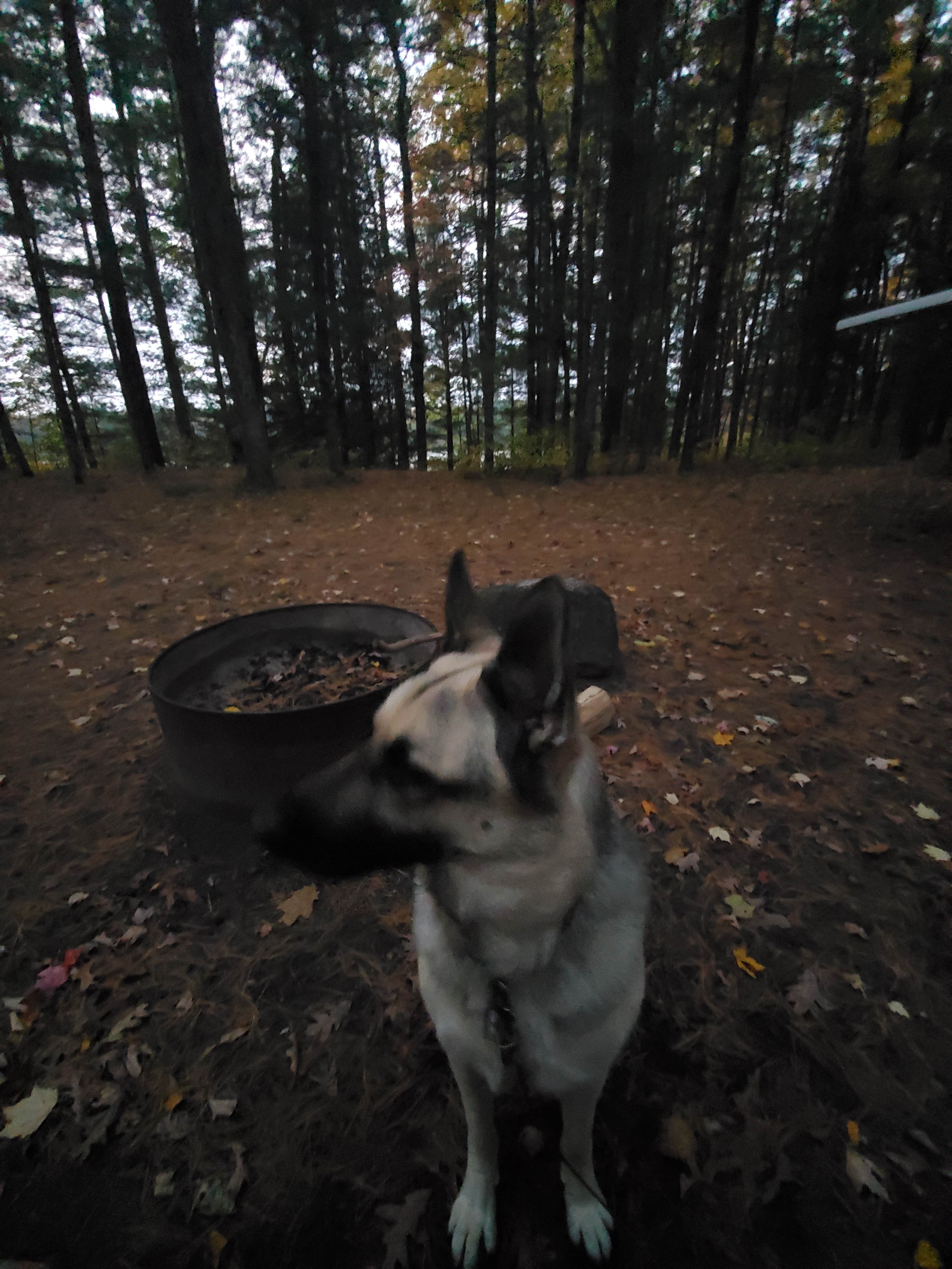 Camper-submitted photo at Leverentz Lake State Forest Campground near Cadillac, MI