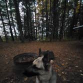 Review photo of Leverentz Lake State Forest Campground by Theresa W., October 10, 2020