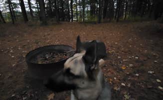 Theresa W.'s photo of camping with pets at Leverentz Lake State Forest Campground near White Cloud, MI