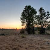 Review photo of Tom Best Spring Road FR117 Dispersed - Dixie National Forest by Anna Z., October 10, 2020