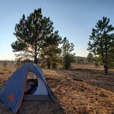 Review photo of Tom Best Spring Road FR117 Dispersed - Dixie National Forest by Anna Z., October 10, 2020