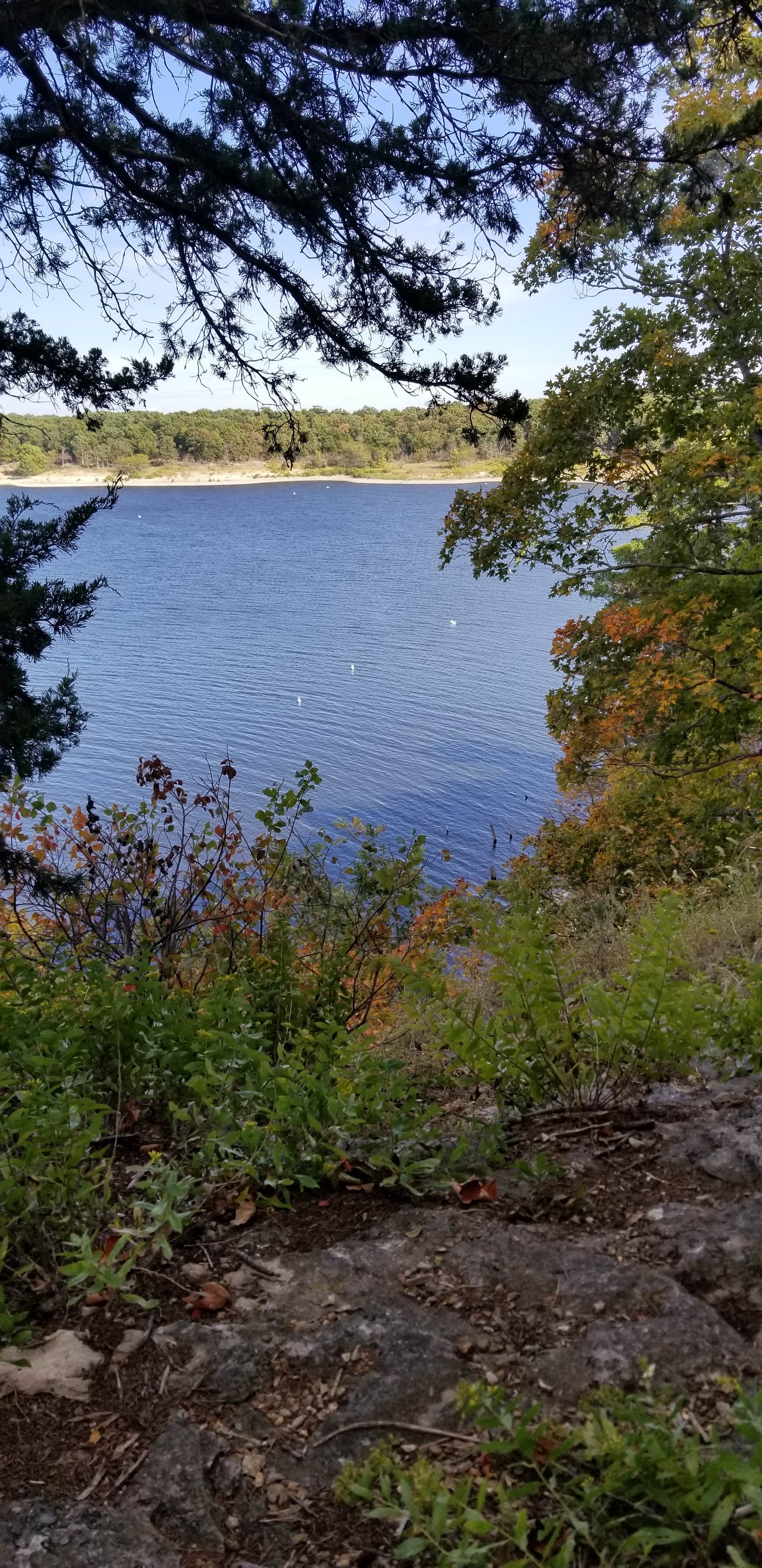 Camper-submitted photo at Buck Ridge — Harry S Truman State Park near Harry S. Truman Lake