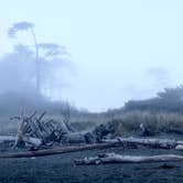 Review photo of Beach Campground — Fort Worden Historical State Park by Steven H., October 9, 2020