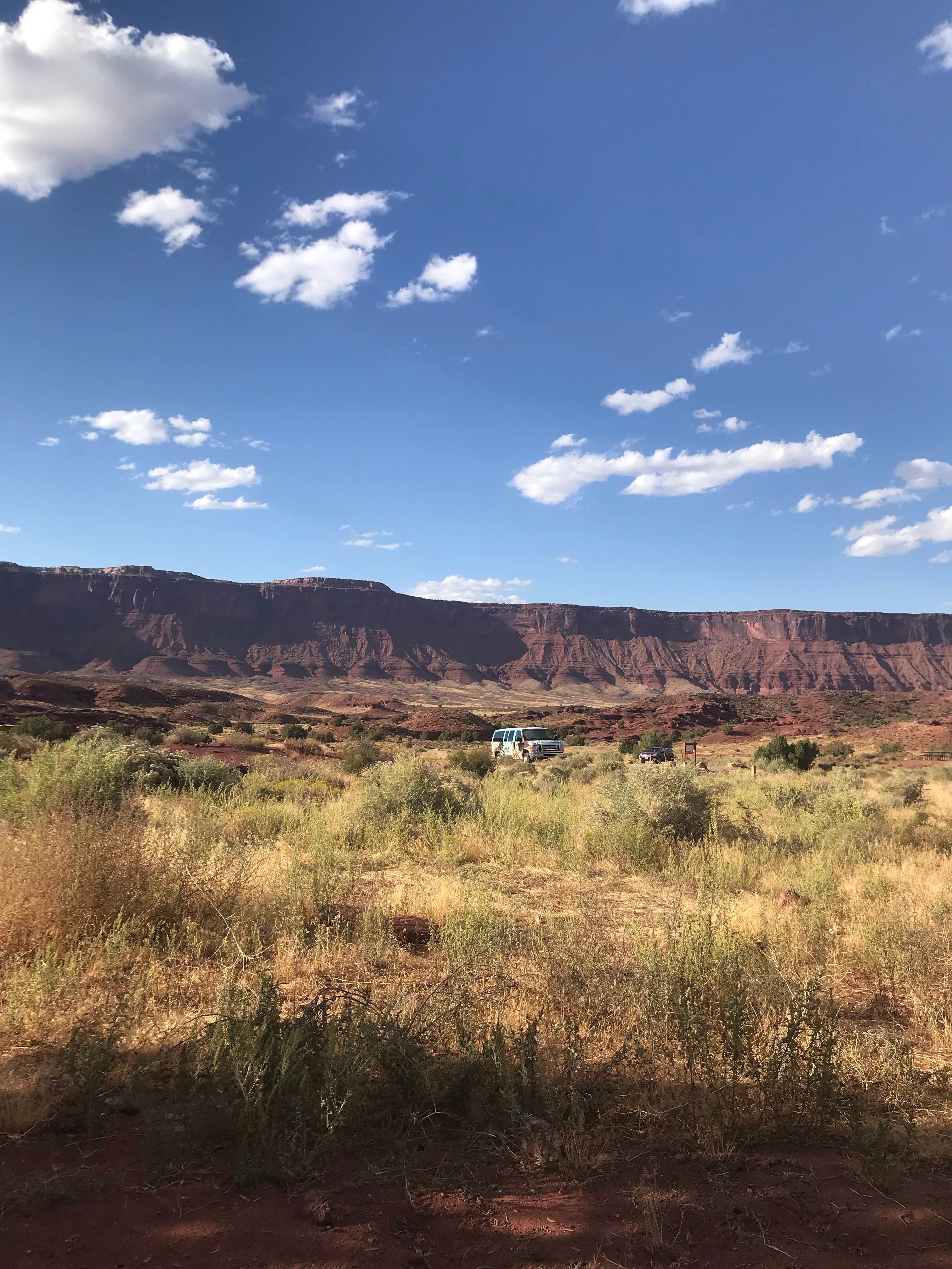 Camper-submitted photo at Upper Onion Creek Campground near La Sal, UT