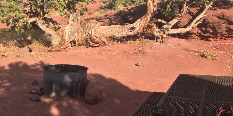 Camper submitted image from Upper Onion Creek Campground