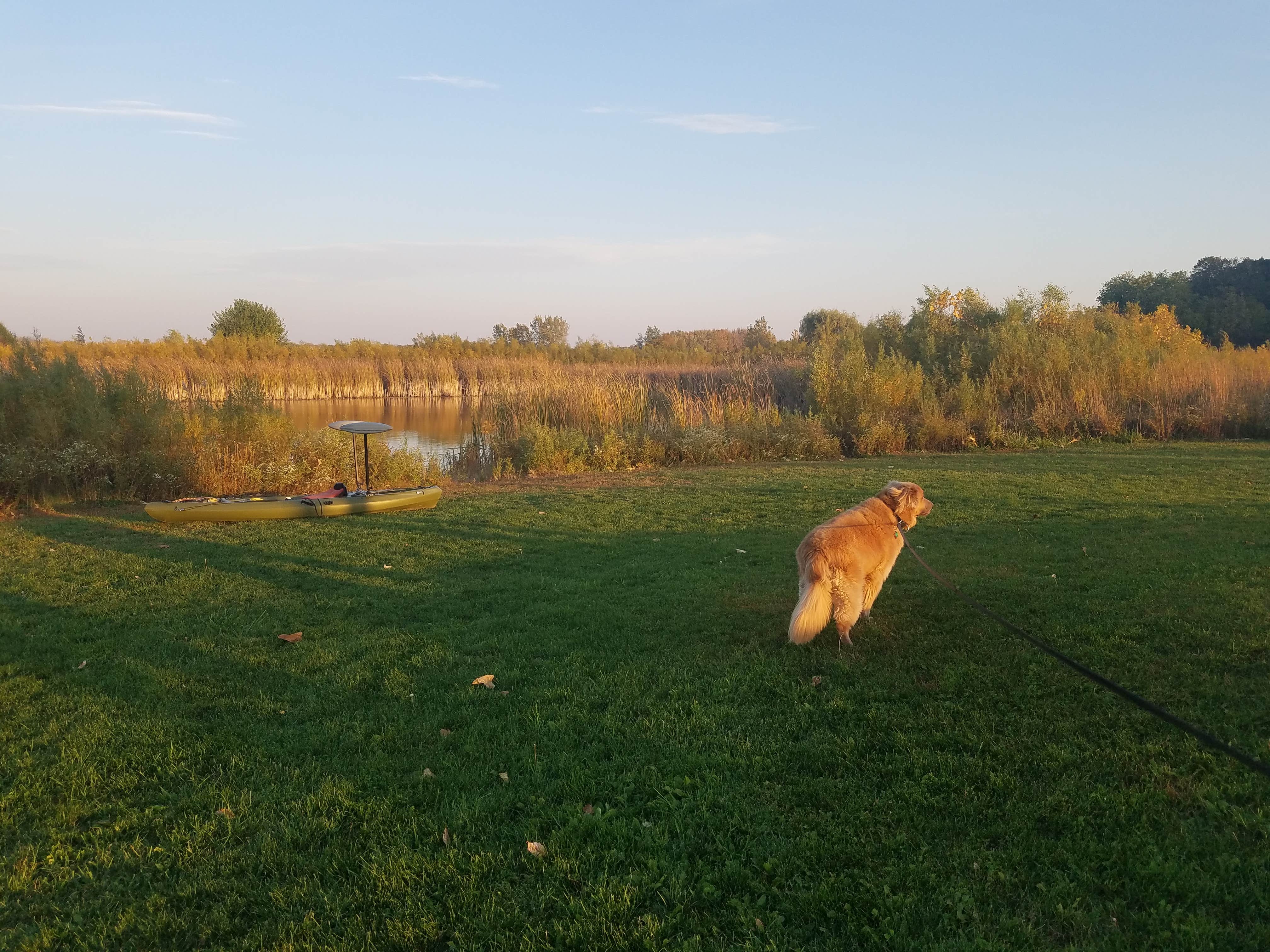 Marisa A.'s photo of camping with pets at Big Rock Campground near Carpentersville, IL