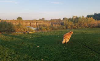 Marisa A.'s photo of camping with pets at Big Rock Campground near St. Charles, IL