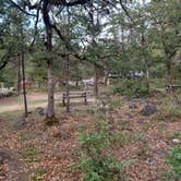 Review photo of Tucker Park Campground by Neil T., October 10, 2020
