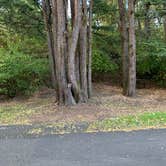 Review photo of Tucker Park Campground by Neil T., October 10, 2020