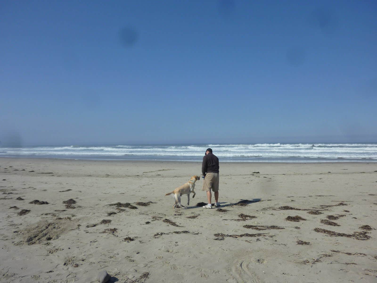 Julian P.'s photo of camping with pets at Cape Lookout State Park Campground near Falls City, OR