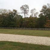 Review photo of The Ole Cornfield by Paige B., October 10, 2020