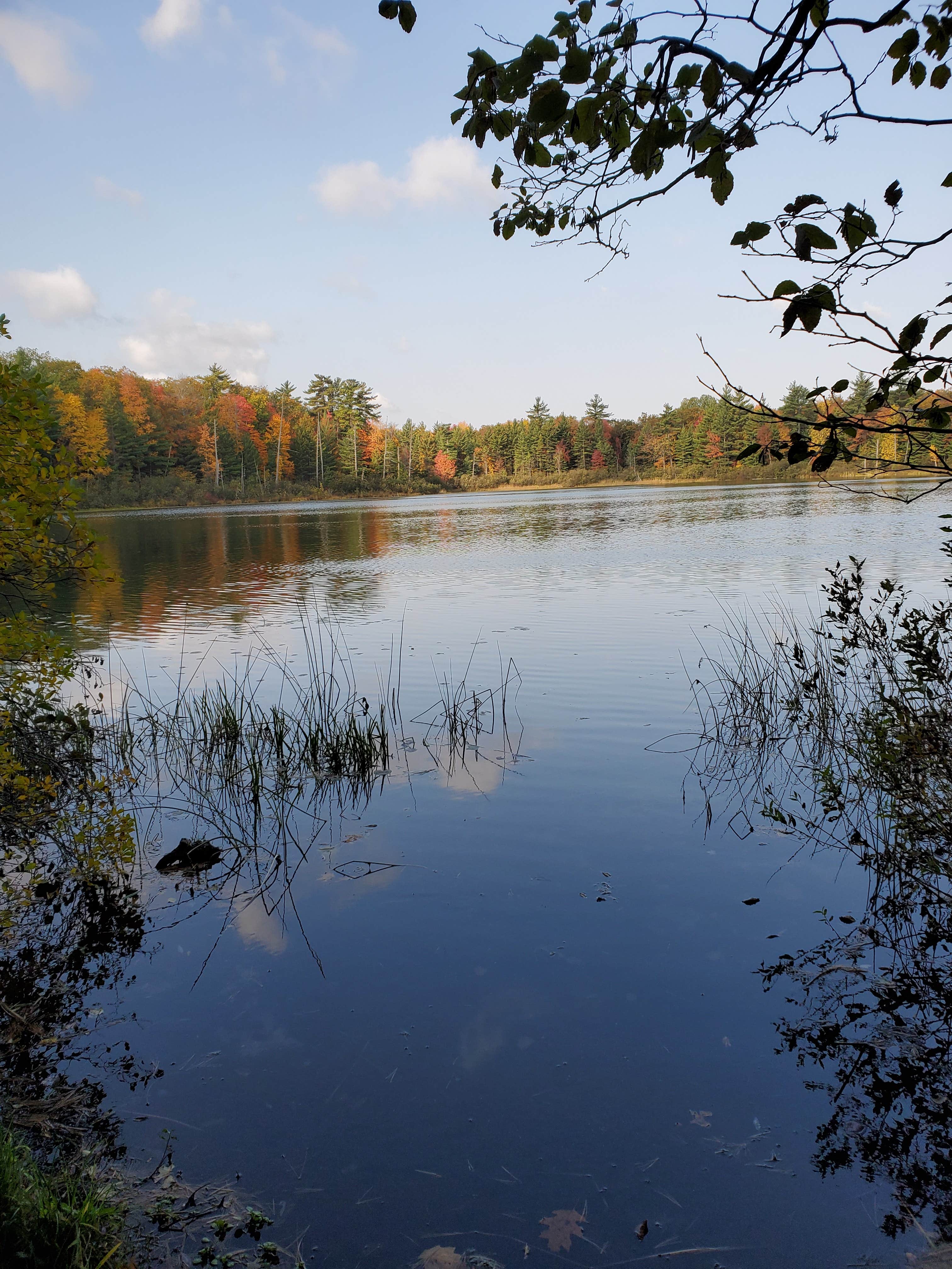 Camper submitted image from Leverentz Lake State Forest Campground - 2