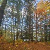 Review photo of Leverentz Lake State Forest Campground by Theresa W., October 10, 2020