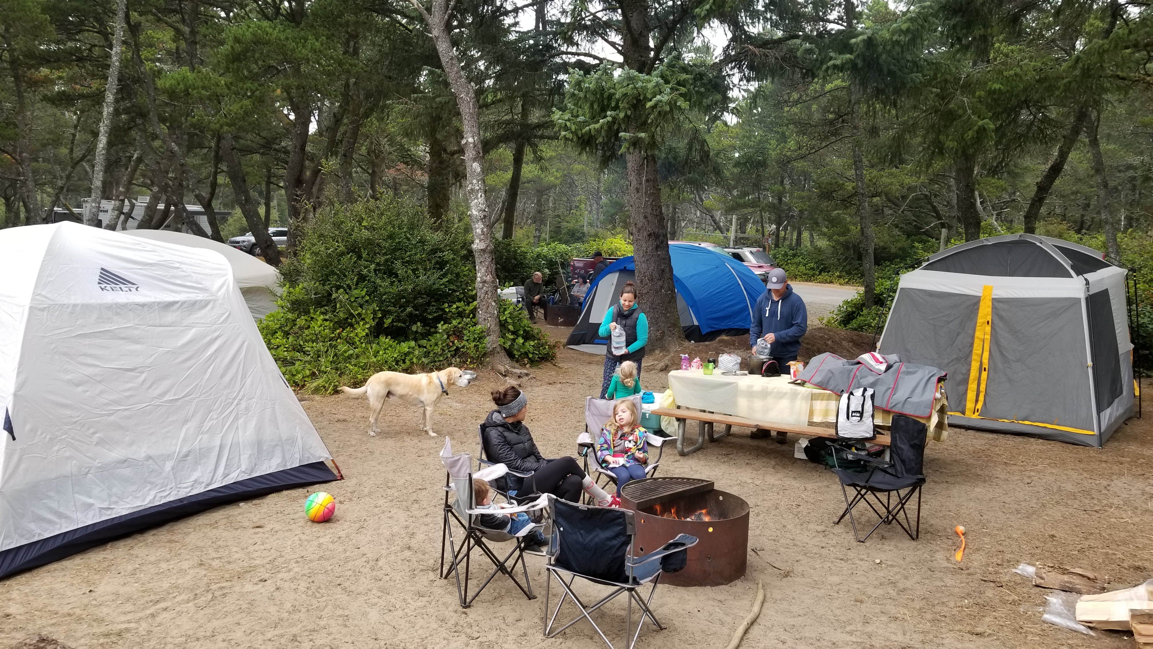 Julian P.'s photo of camping with pets at Barview Jetty County Campground near Tolovana Park, OR