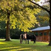 Review photo of Village Creek State Park Campground by Laura G., October 10, 2020