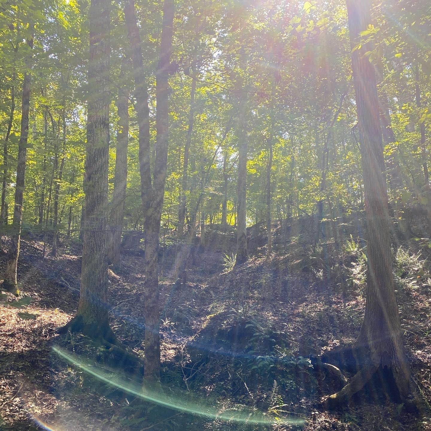 Camper-submitted photo at Village Creek State Park Campground in Arkansas