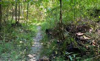 Laura G.'s photo of camping with pets at Village Creek State Park Campground near Southaven, MS