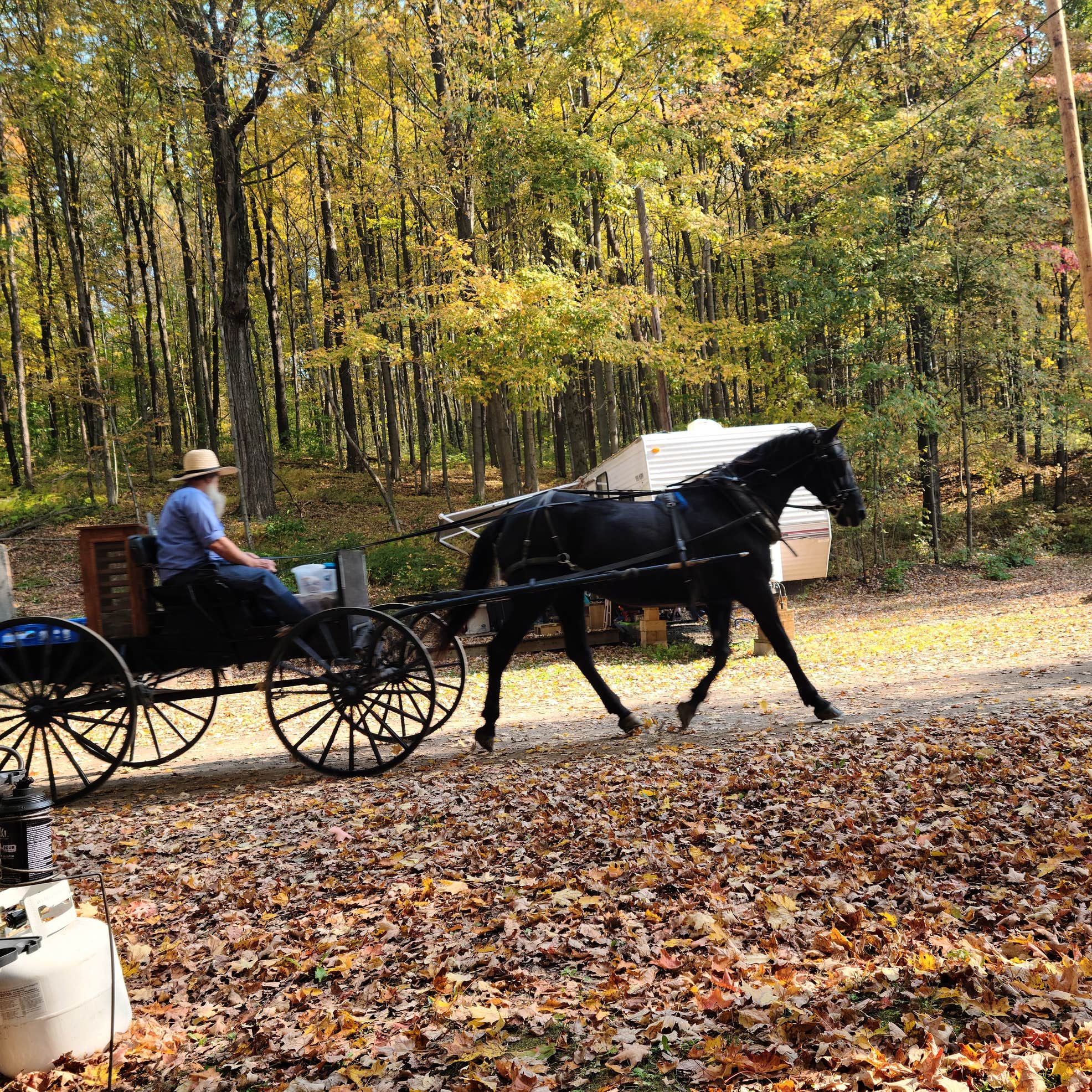 POPE HAVEN Camping | Randolph, NY