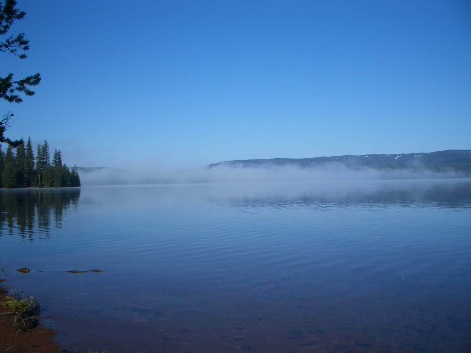 Camper-submitted photo at Oak Fork near Government Camp, OR