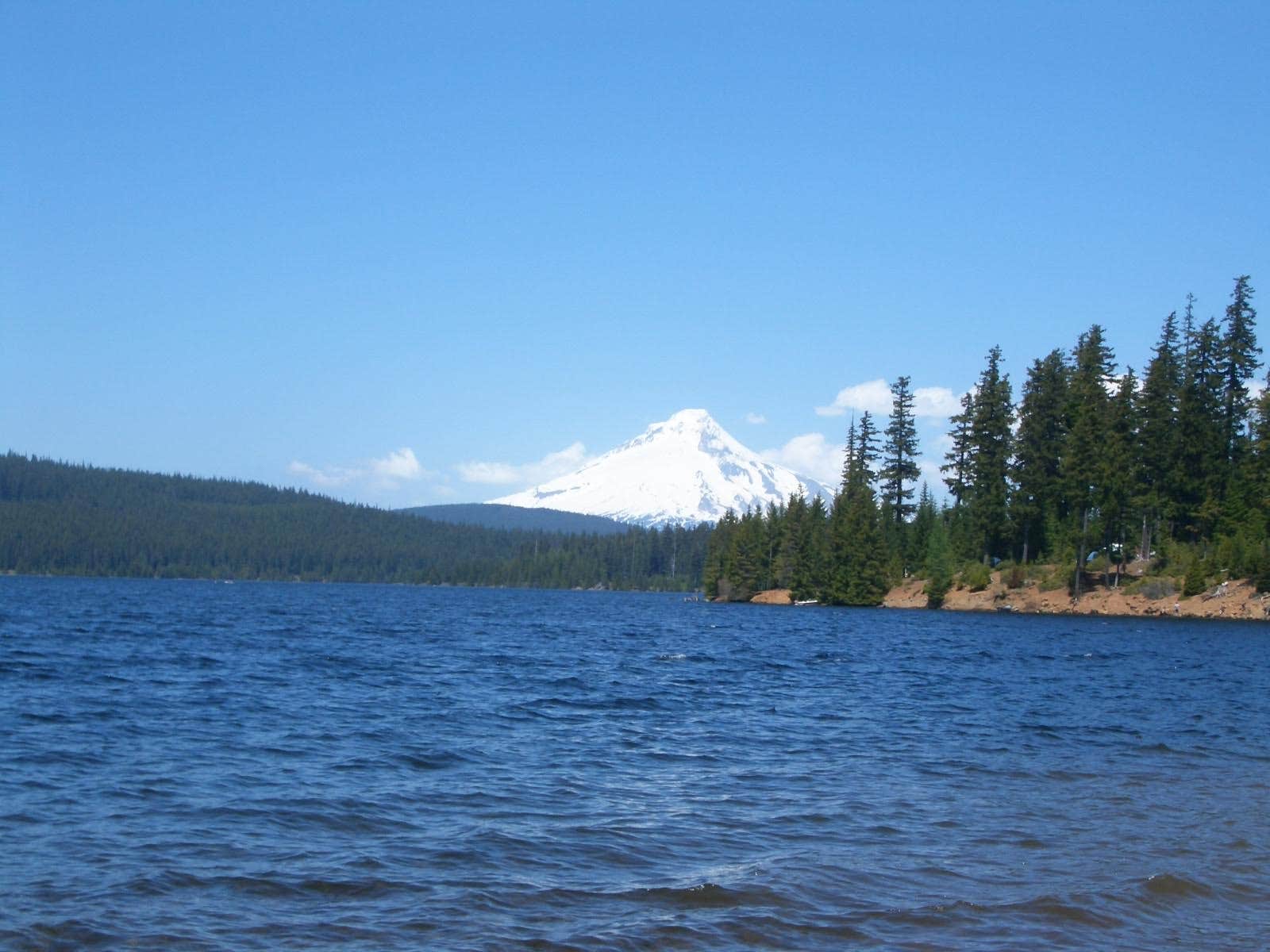 View All