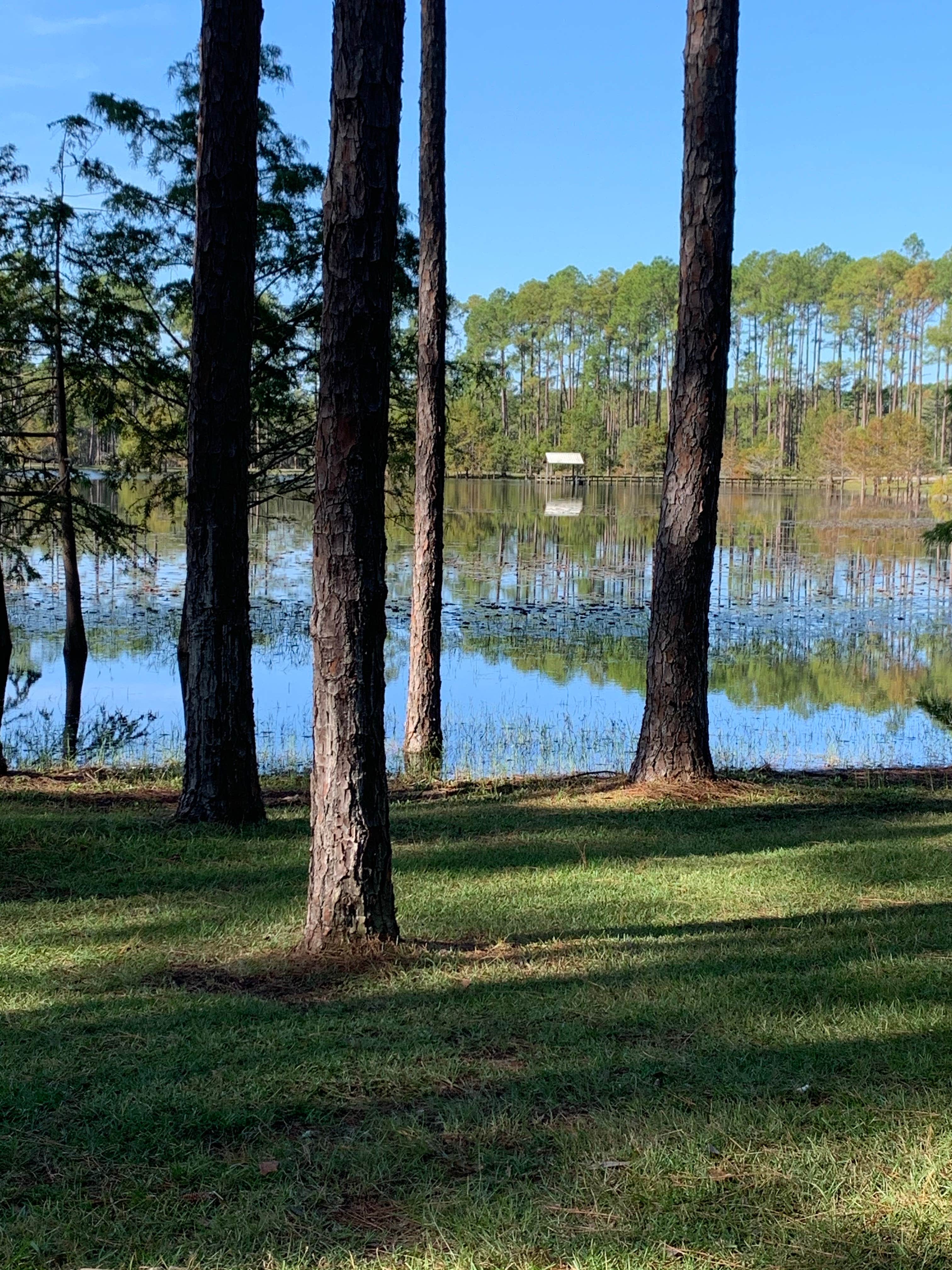 Camper submitted image from Sand Pond Campground - Pine Log State Forest - 2