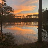 Review photo of Sand Pond Campground - Pine Log State Forest by Jennifer D., October 10, 2020