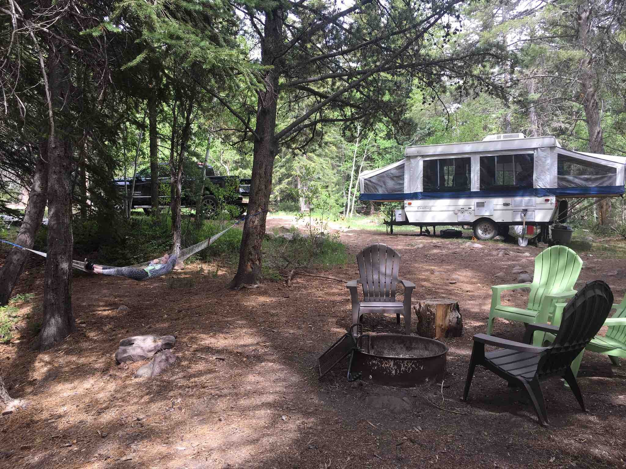 Camper submitted image from Swift Creek - 4