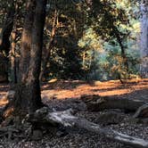 Review photo of Palomar Mountain State Park Campground by Teeum  H., October 10, 2020