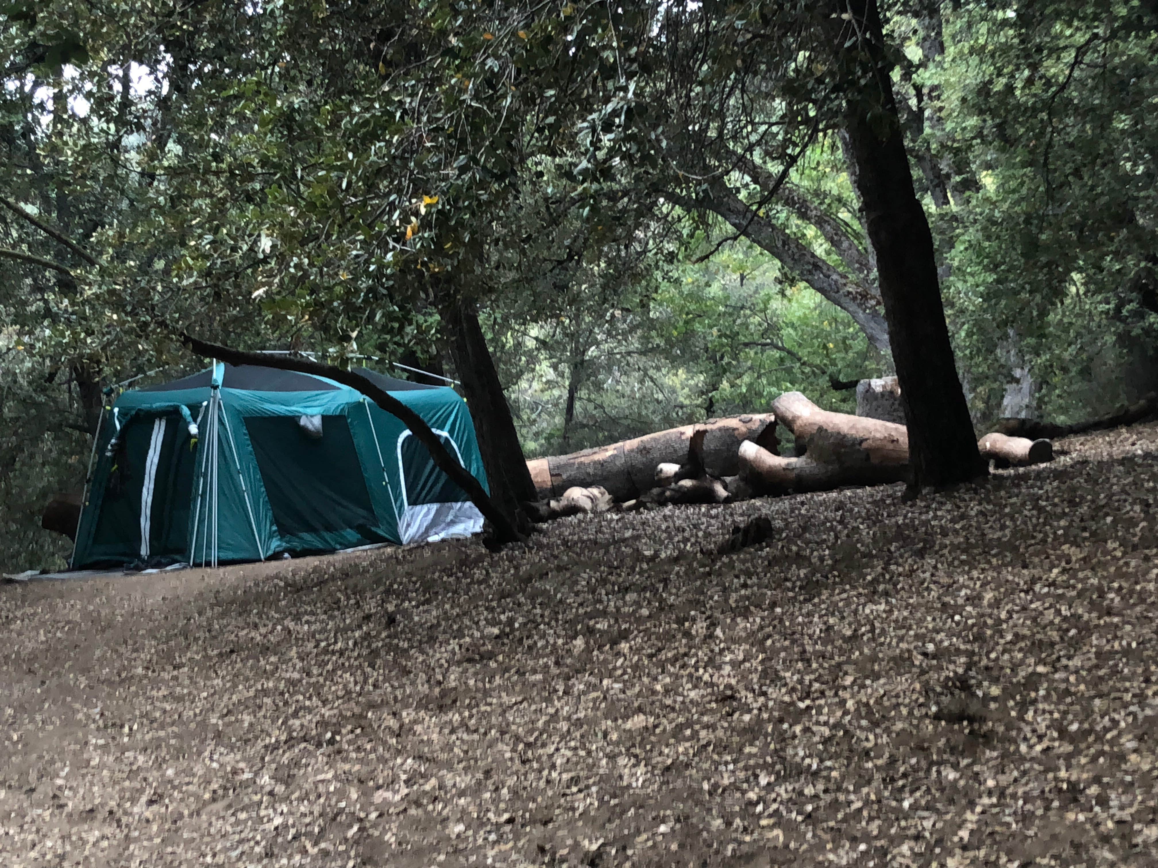 Teeum  H.'s photo at Palomar Mountain State Park Campground near Aguanga, CA