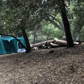 Review photo of Doane Valley Campground — Palomar Mountain State Park by Teeum  H., October 10, 2020