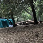 Review photo of Palomar Mountain State Park Campground by Teeum  H., October 10, 2020