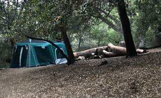 Teeum H.'s photo at Palomar Mountain State Park Campground near Aguanga, CA